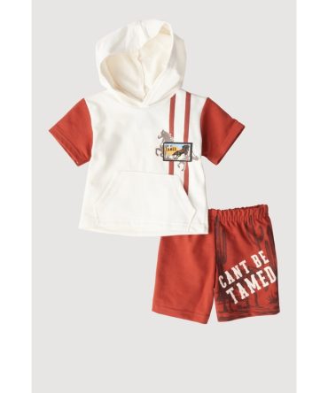 Baby Boys 0-9M Horse Graphic Hooded Top and Shorts