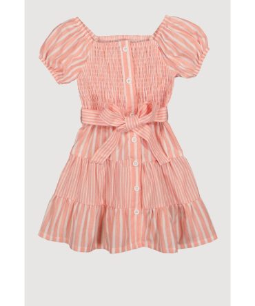 Toddler Girls Smocked Button Front Tiered Dress