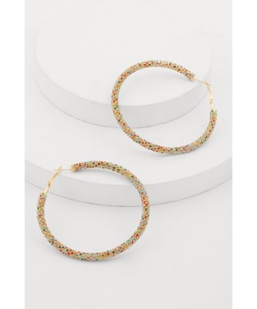 Rhinestone Encrusted Hoop Earrings