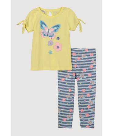 Toddler Girls Glitter Butterfly Graphic Tee and Leggings