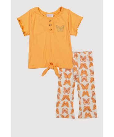 Baby Girls 0-9M Butterfly Embroidered Tee and Leggings