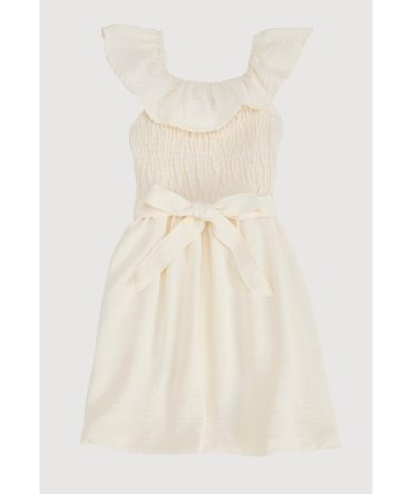 Little Girls Tie Waist Belted Smocked Skater Dress