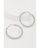 Tassel Chain Necklace and Hoop Earrings