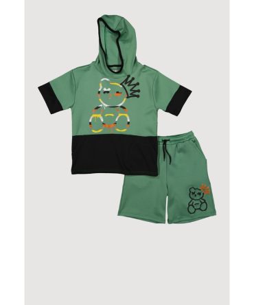 Boys Color Block Bear Graphic Tee and Shorts