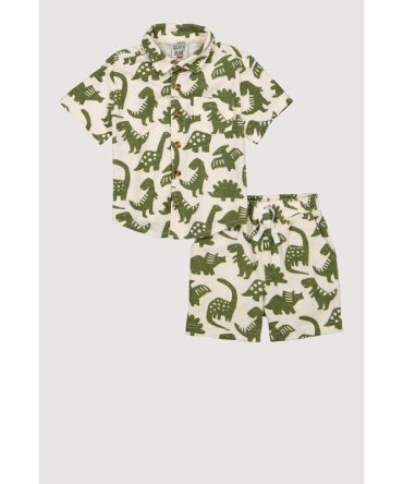 Toddler Boys Dinosaur Shirt and Shorts