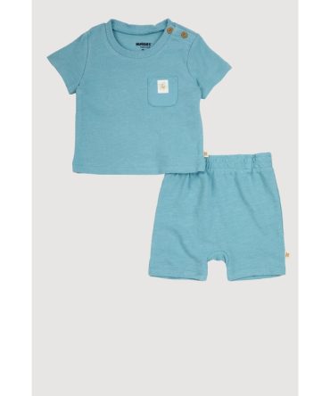 Baby Boys 0-9M Textured Knit Turtle Graphic Tee and Shorts