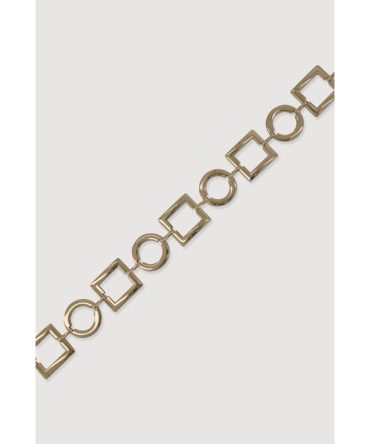 Geometric Chain Belt