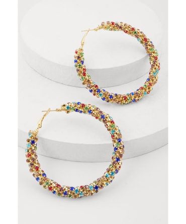 Stylish Rhinestone Encrusted Hoop Earrings