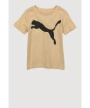 Toddler Boys Puma Graphic Tee and Shorts
