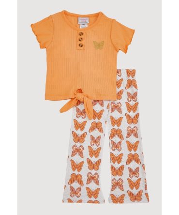 Baby Girls 12-24M Butterfly Graphic Tee and Flared Leggings
